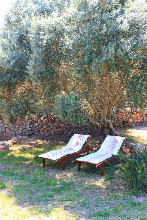Caseddu Di Poggiale Figari  Room photo